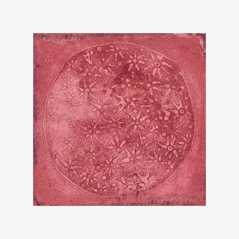 Фаянс CARLO  GRANATE-B 20/20