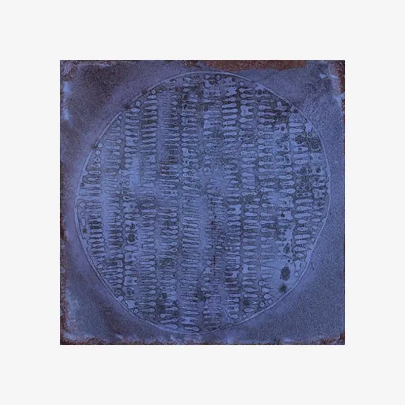 Фаянс CARLO  MARINO-B 20/20