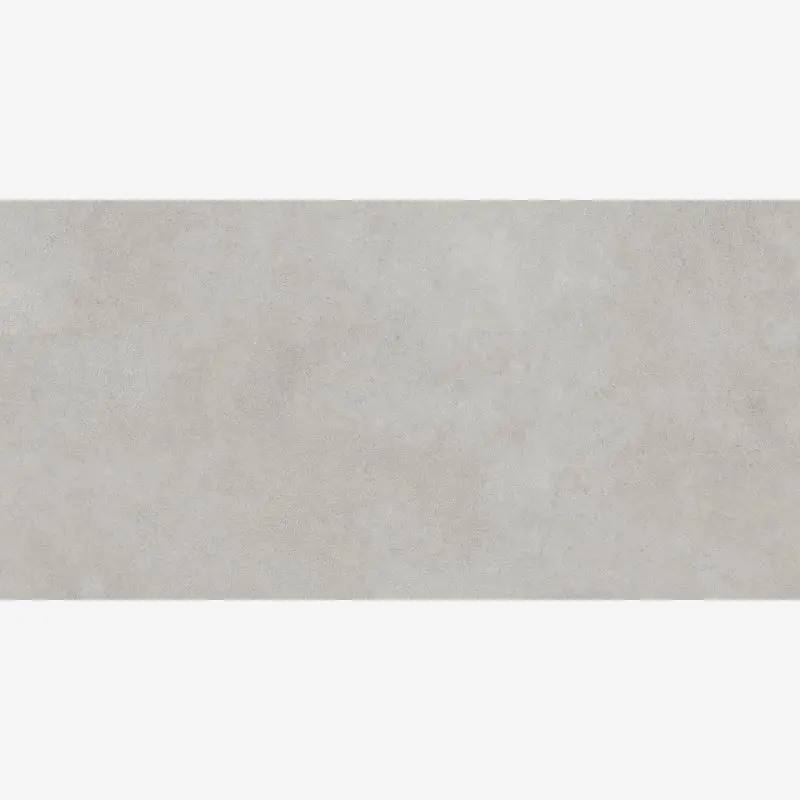 Гранитогрес TANDEM-R CENIZA R10  60/120